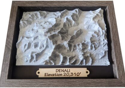 Denali - Mountain Topo